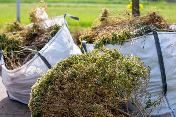 Same-Day Junk Removal Services in Clarendon, AR